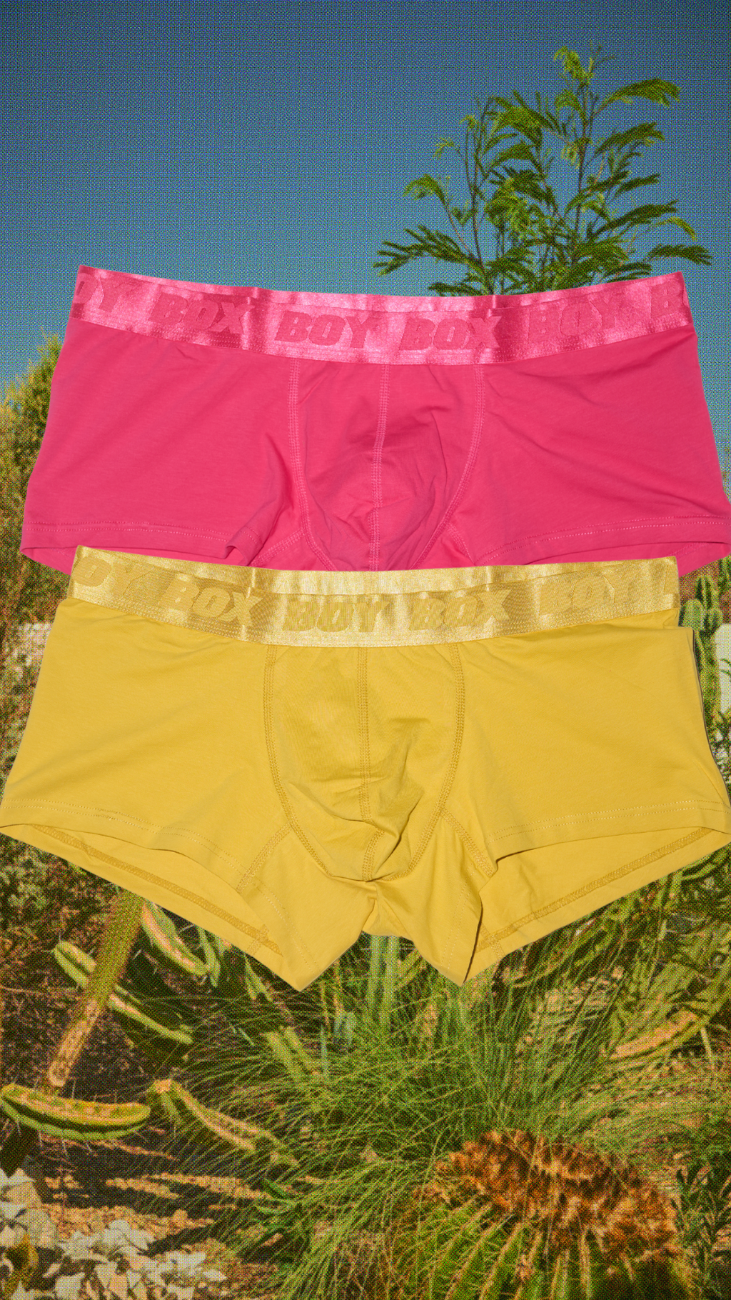 2-pack trunk set
