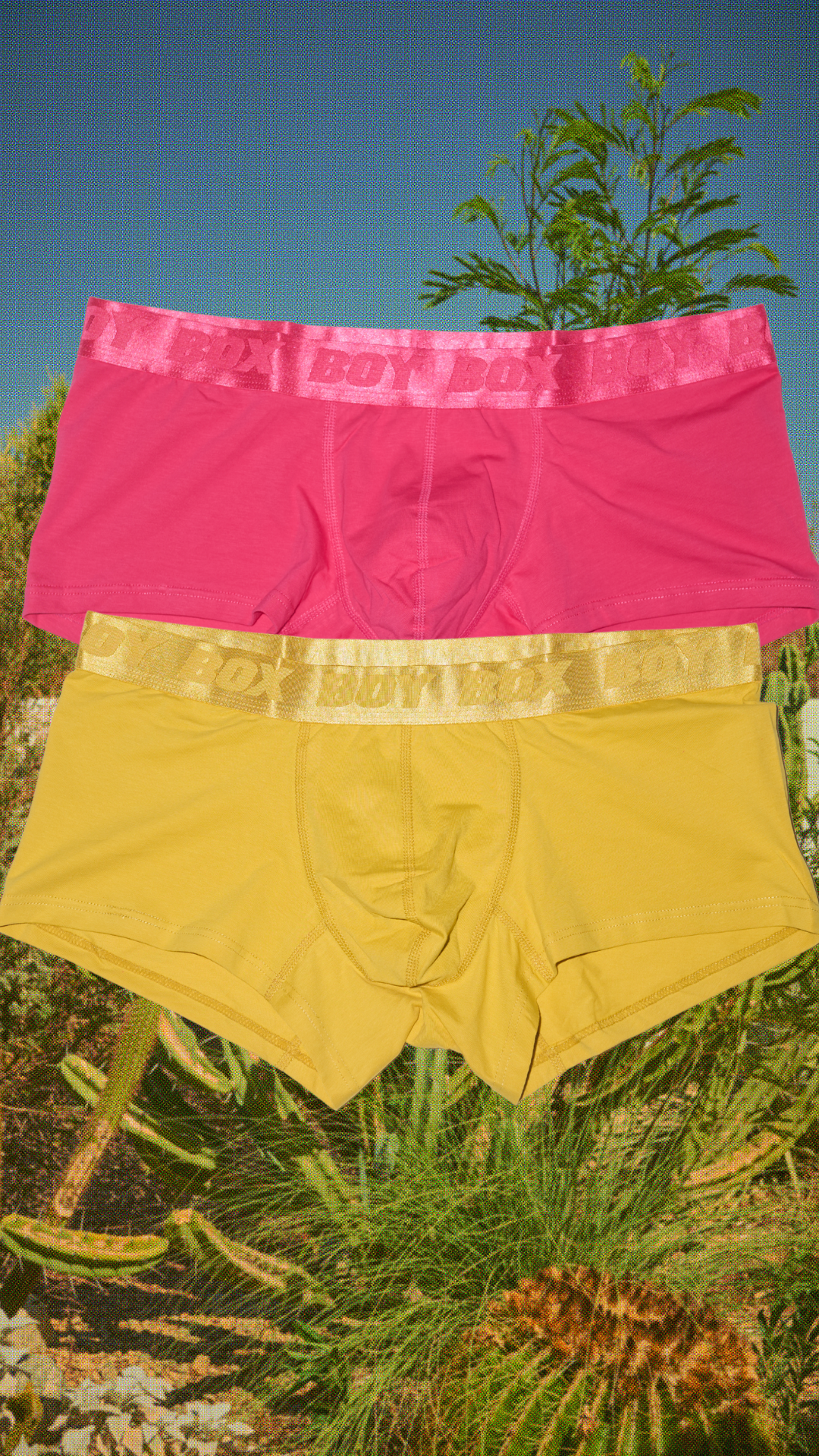 2-pack trunk set