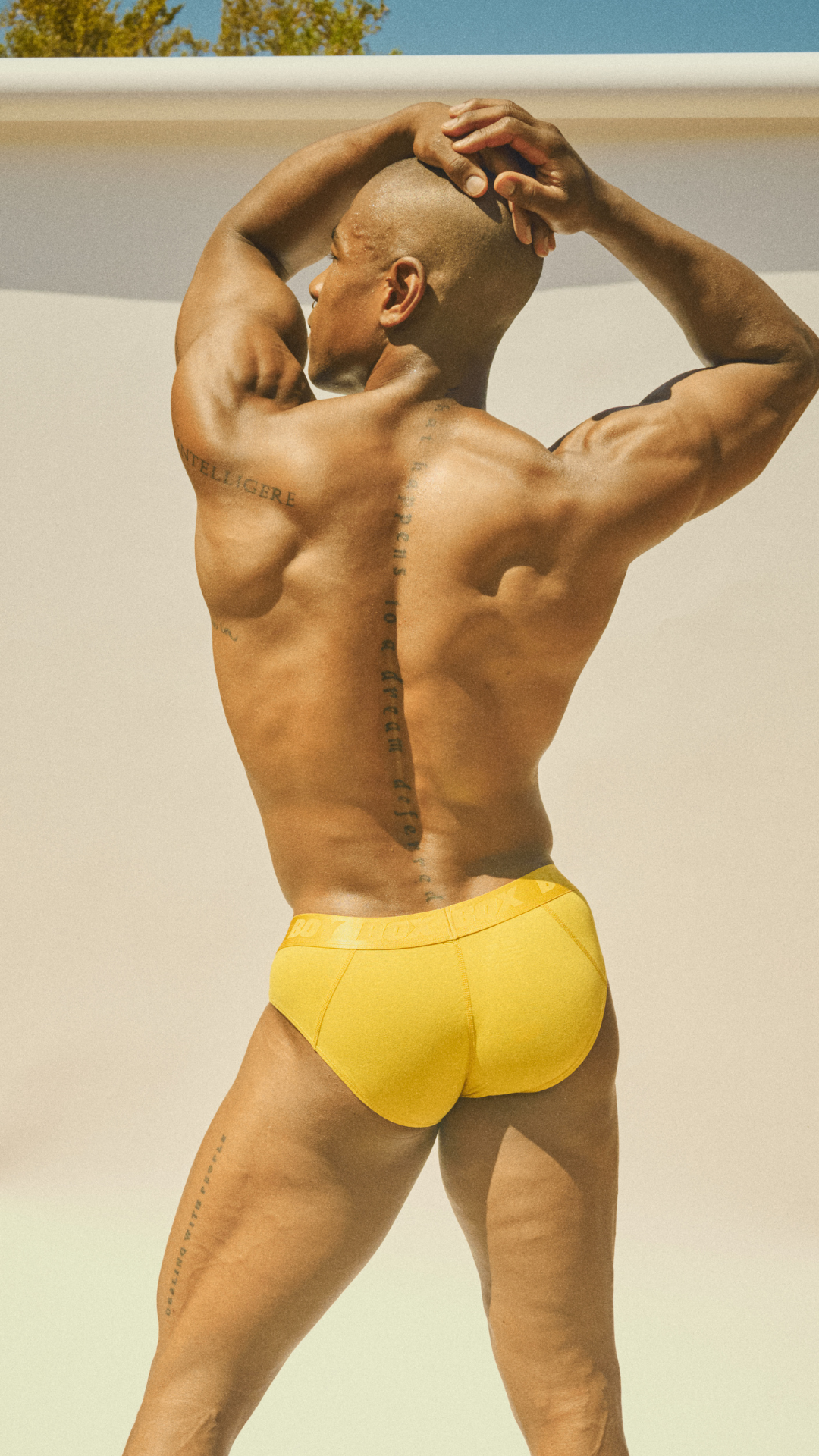 boy brief in golden hour