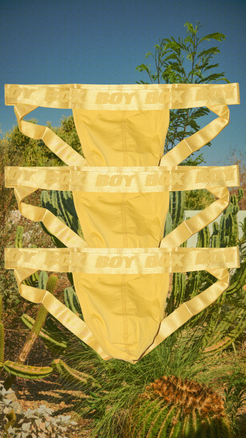 3-pack boystrap set in golden hour