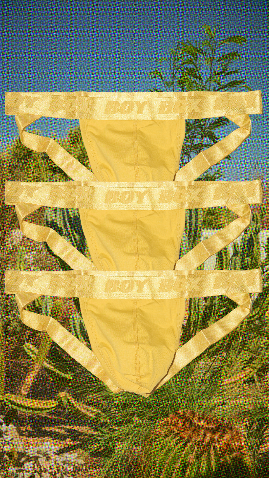 3-pack boystrap set in golden hour