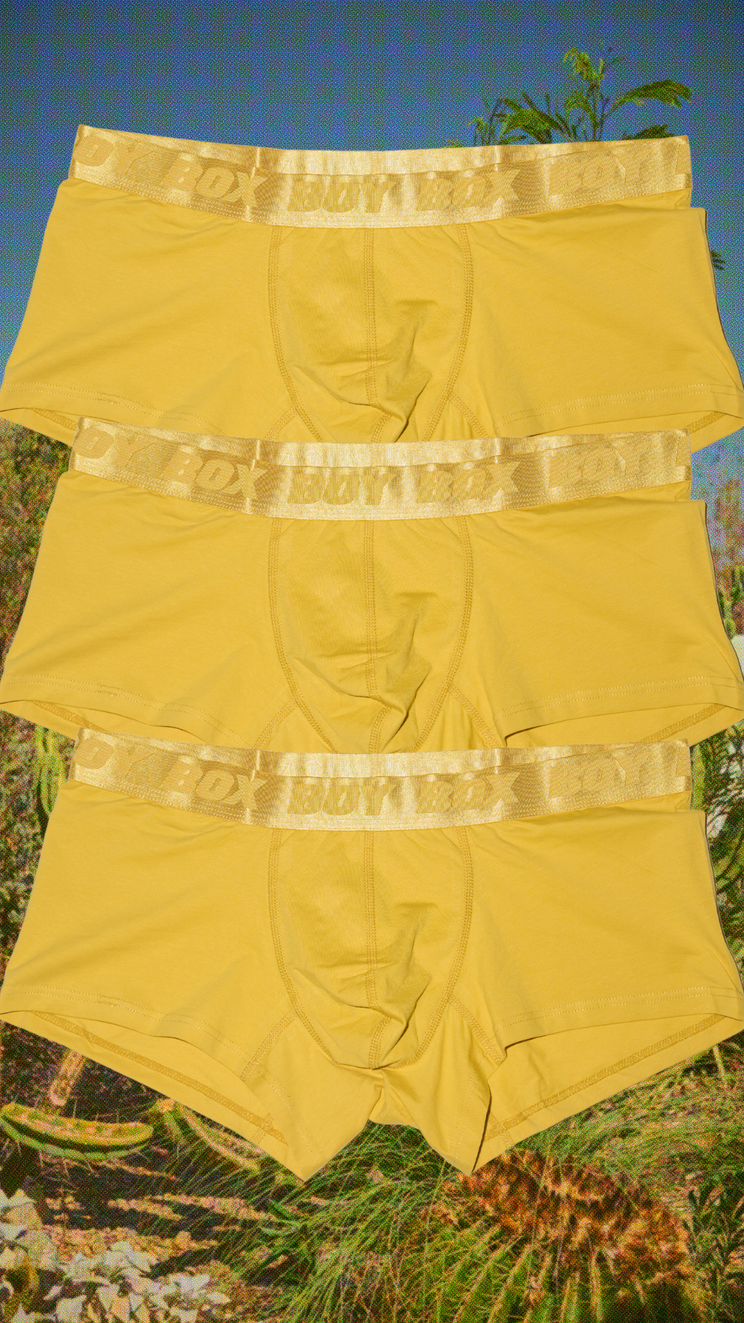 3-pack trunk set in golden hour