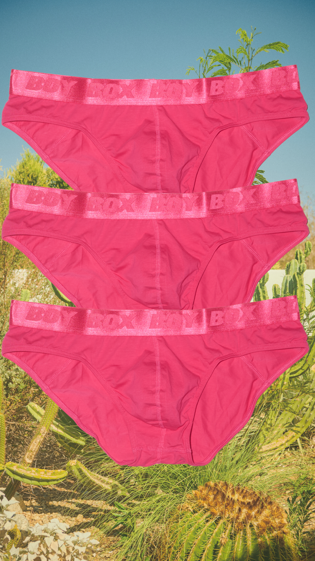 3-pack boy brief set in sweet heat
