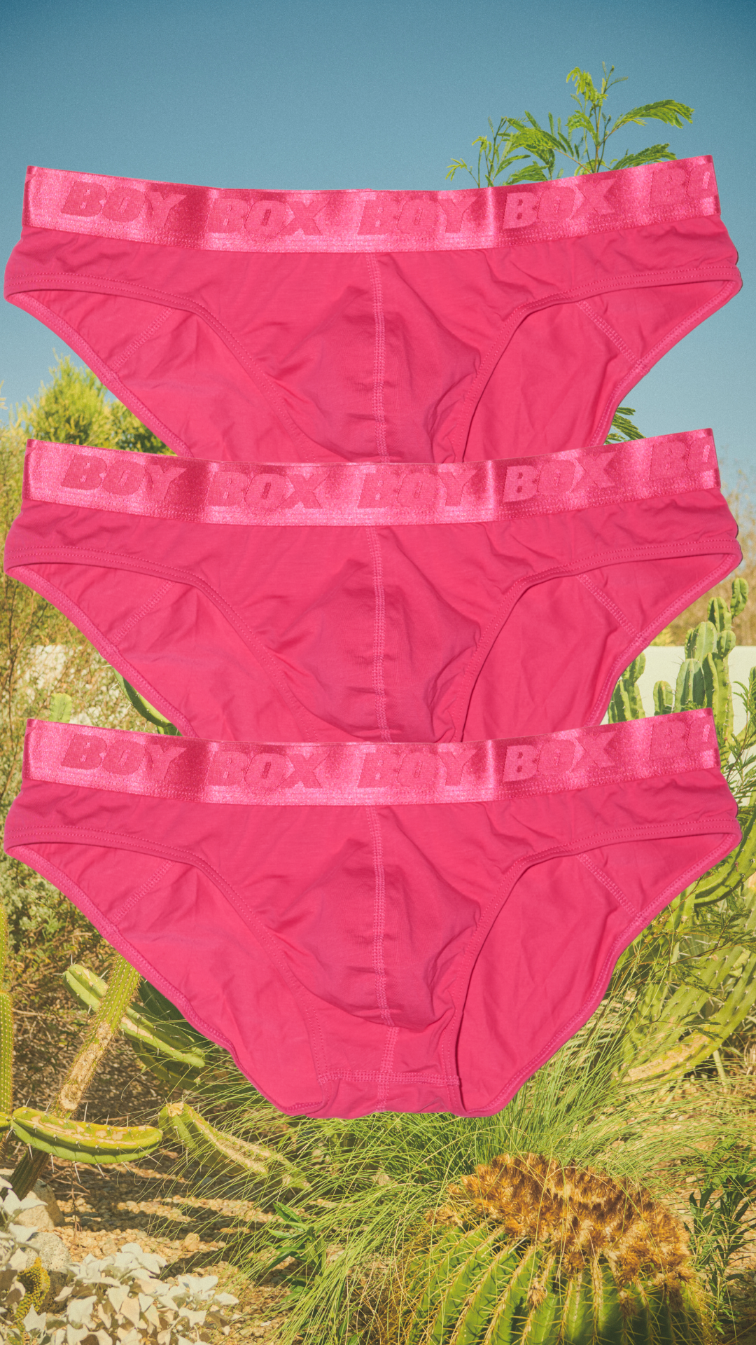 3-pack boy brief set in sweet heat