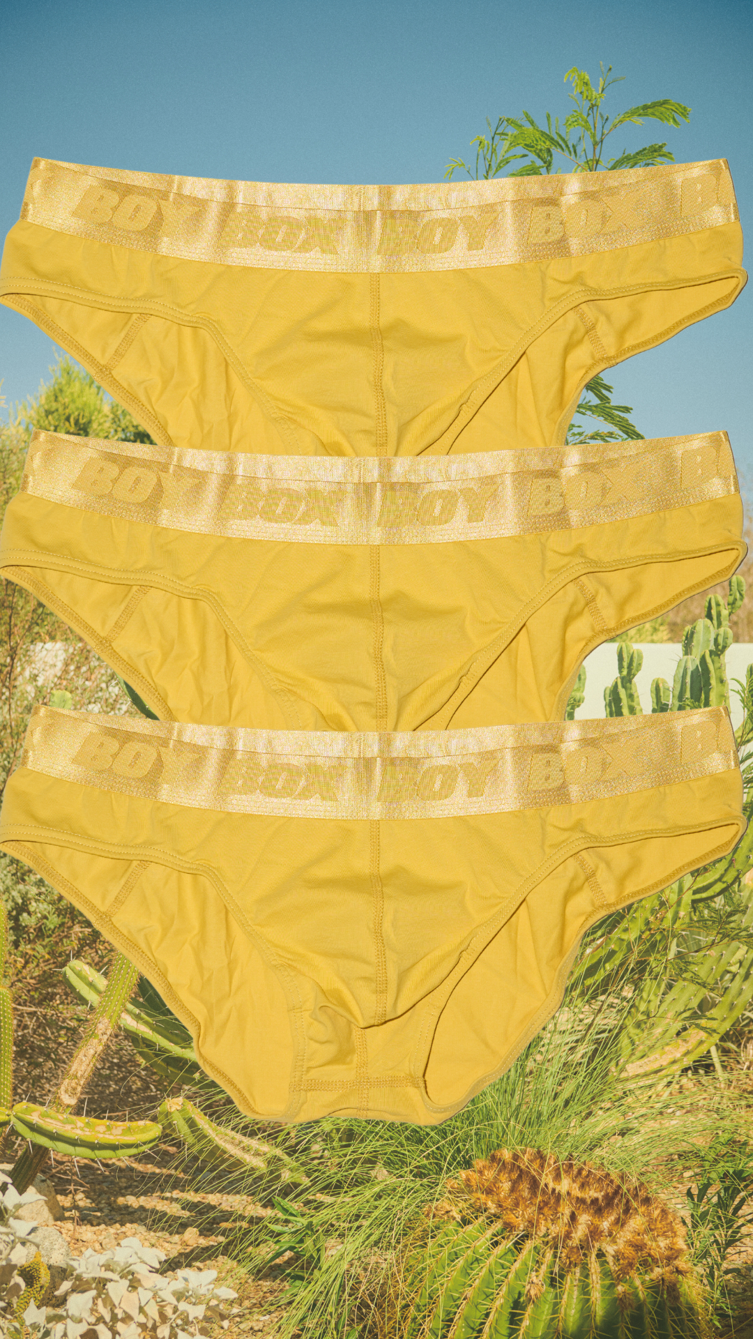 3-pack boy brief set in golden hour