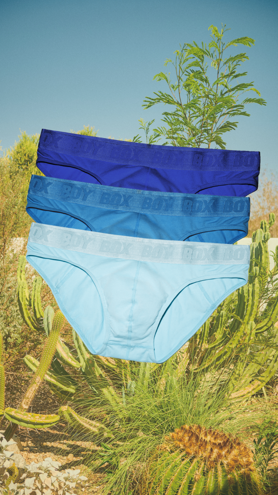3-pack Boy Brief Set in Blue