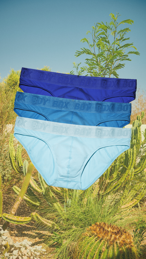 3-pack Boy Brief Set in Blue