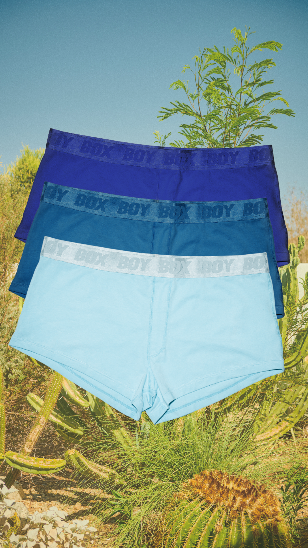 3-packTrunk Set in Blue