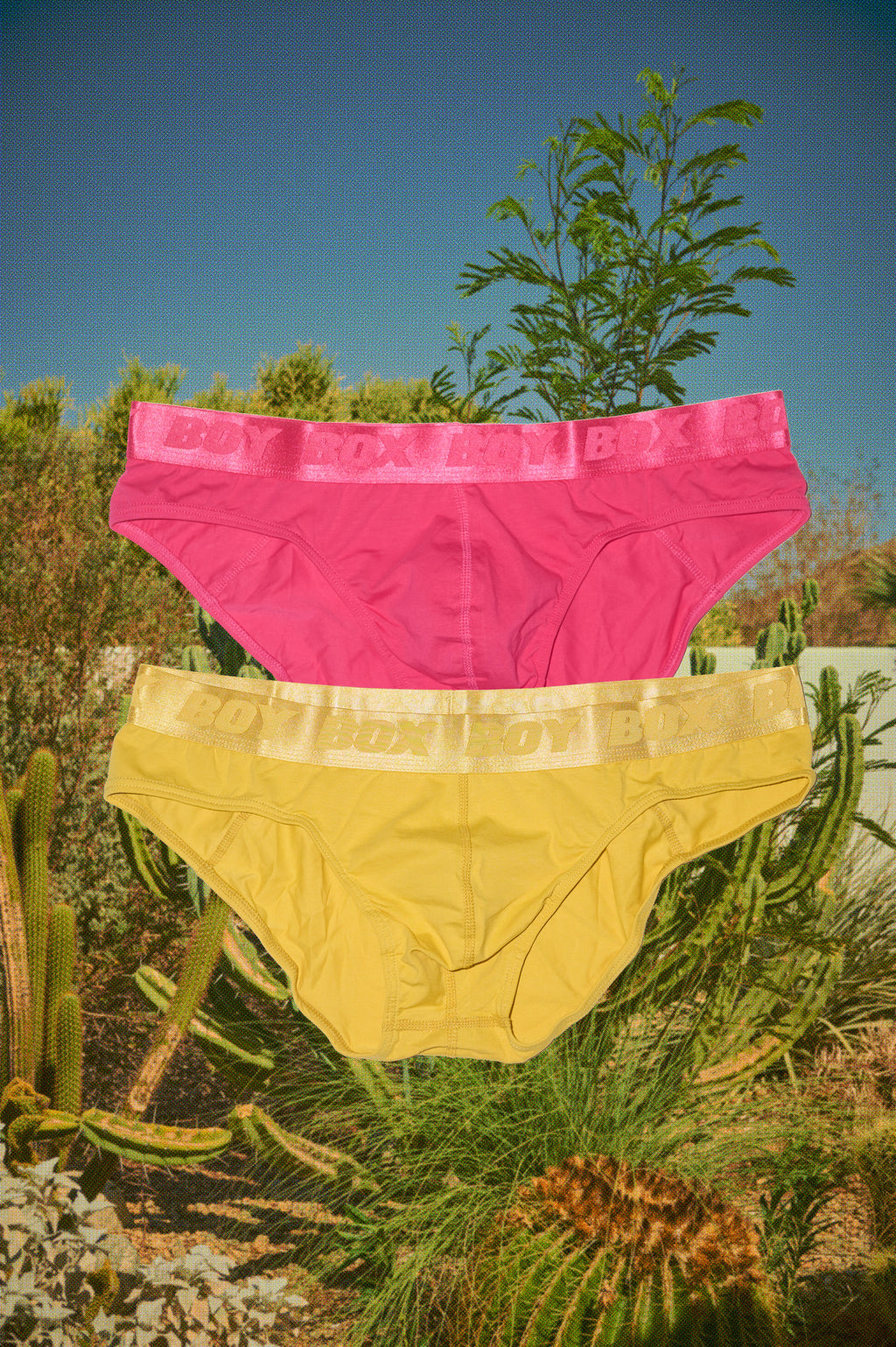 2-pack boy brief set