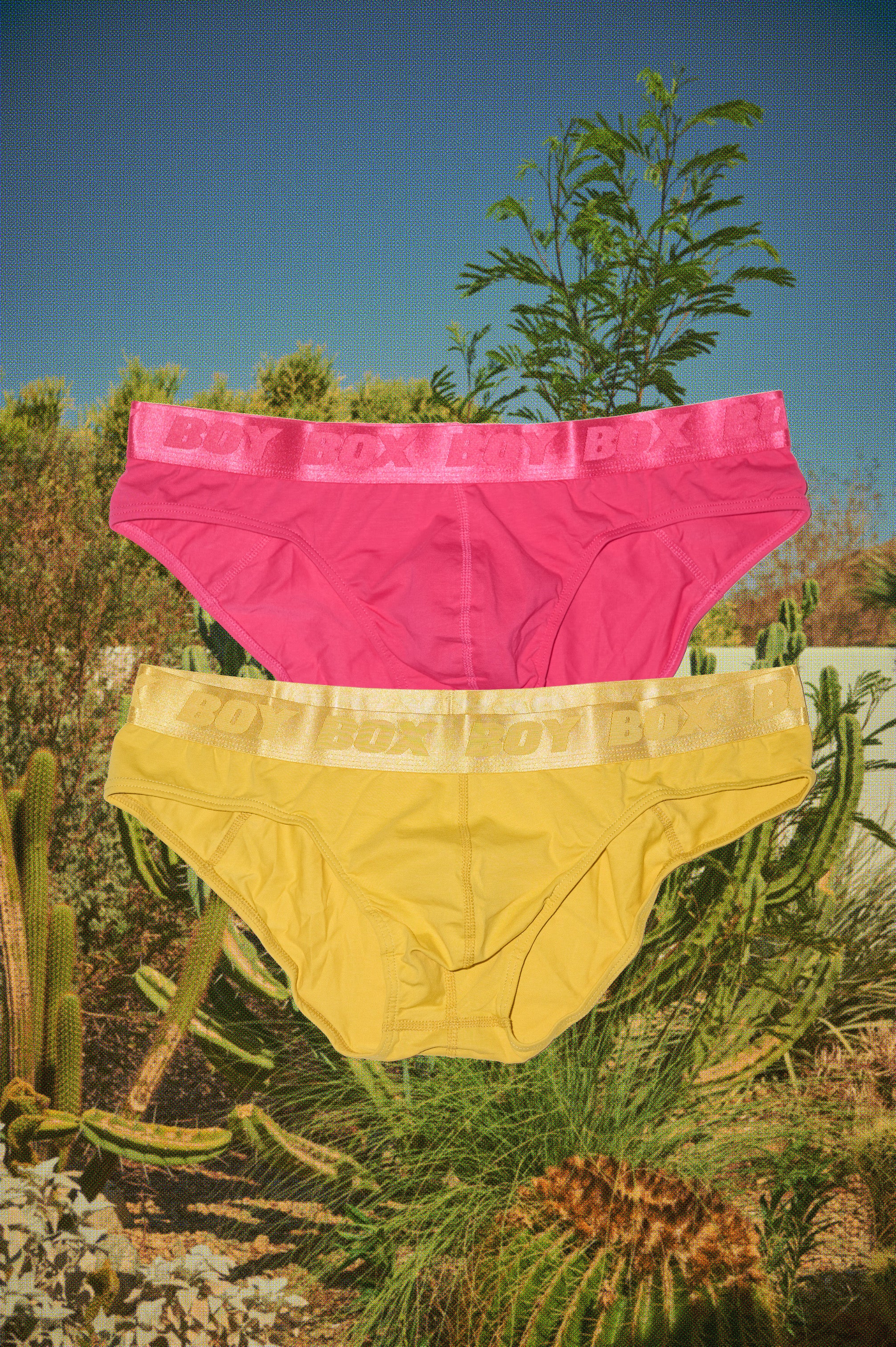 2-pack boy brief set